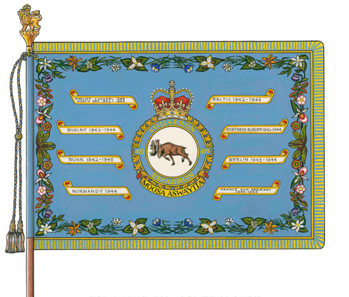 Standard of the 419 Tactical Fighter Training Squadron