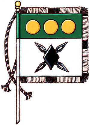 Flag of John Gregory McKinnon Flag of John Gregory McKinnon