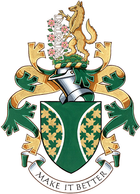 Arms of Tania Miranda Susan Grünewald Arms of Tania Miranda Susan Grünewald