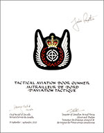 Letters patent approving the heraldic emblems of a Tactical Aviation Door Gunner of the Canadian Armed Forces