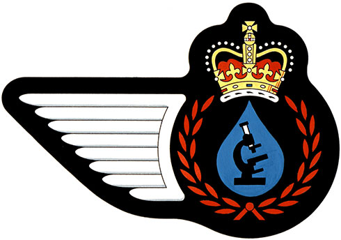 Badge of a Water, Fuels and Environment Technician of the Royal Canadian Air Force
