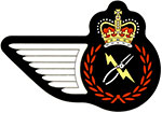 Badge of an Electrical Distribution Technician of the Royal Canadian Air Force