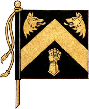 Flag of Hafiz Feezer Kassam Flag of Hafiz Feezer Kassam