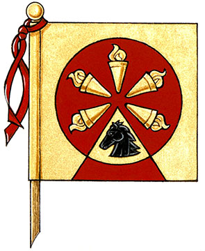 Flag of Ramanbir Singh Nayyar Flag of Ramanbir Singh Nayyar