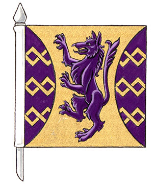 Flag of Hao-Lun (Stanley) Chiu