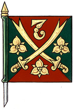 Flag of Mohamed Mehboob Elahi