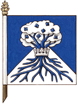 Flag of Braden Josiah Root-McCaig