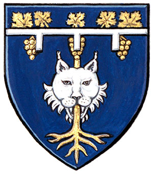 Differenced Arms for Maxandre Vigneault, child of Mathieu Roland Joseph Vigneault