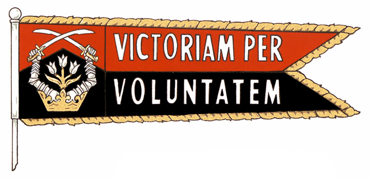 Flag of Robert Adam de Bartok