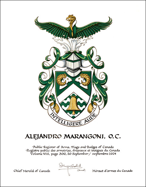 Letters patent granting heraldic emblems to Alejandro Marangoni