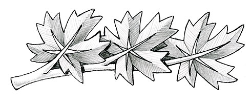 Badge of the Governor General’s Commendation for Bravery