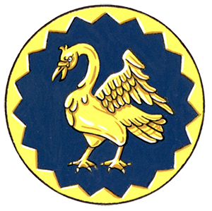 Badge of Dinesh Kumar Ramoo