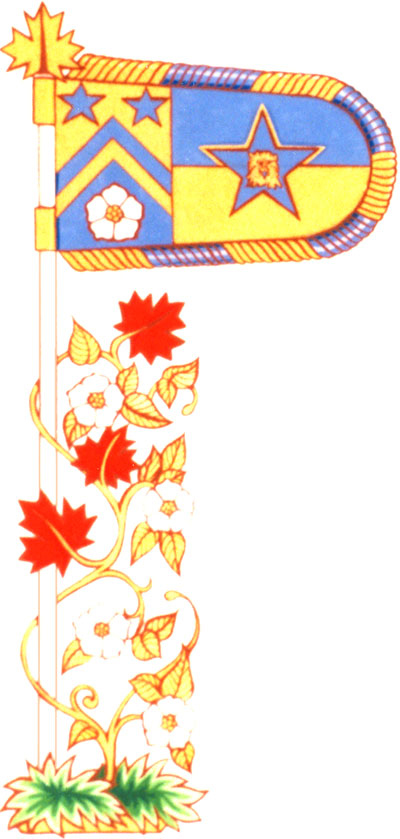 Drapeau de Cyril Gilbert Lane