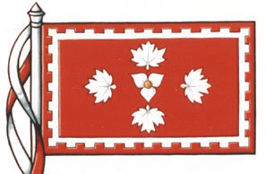 Drapeau du National Club