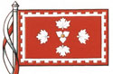 Drapeau du National Club