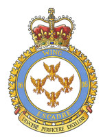 Badge of 16 Wing