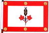 Drapeau de Frederick Kasravi