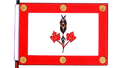 Drapeau de Frederick Kasravi