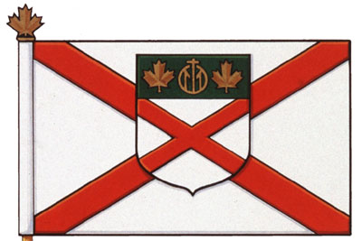 Drapeau de la St. Patrick's High School