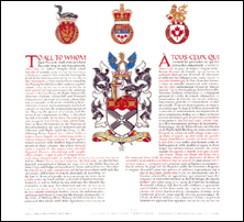 Letters patent granting heraldic emblems to David McClary Johnston