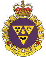 Insigne de la Compagnie interarmées de défense nucléaire, biologique et chimique des Forces canadiennes