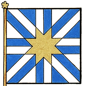 Drapeau de Nikita James Nanos