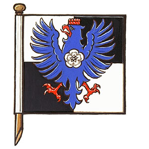 Drapeau de David Michael Cvet