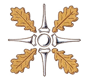 Badge of Wilson Hastings Paterson