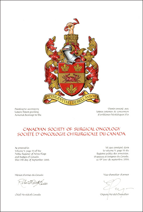 Letters patent granting heraldic emblems to the Canadian Society of Surgical Oncology