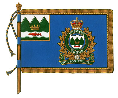 Drapeau du Nelson Police Department