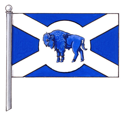 Drapeau de la Municipalité rurale de St. Andrews