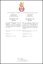 Lettres patentes confirmant le blasonnement du drapeau du régiment de Béarn