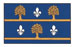 Drapeau de la Fédération québécoise des sociétés de généalogie