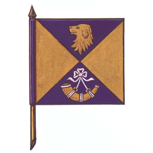 Drapeau de Sean Francis Forrester