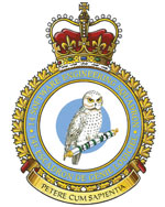 Badge of the 14 Software Engineering Squadron