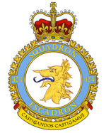 Badge of the 424 Transport and Rescue Squadron