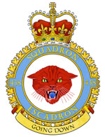 Badge of the 438 Tactical Helicopter Squadron