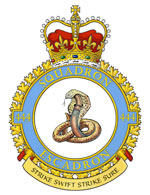 Badge of the 444 Combat Support Squadron