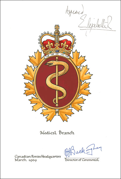 Lettres patentes confirmant le blasonnement du drapeau et de l'insigne du Service de santé des Forces canadiennes