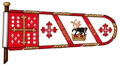 Drapeau d'Henrique Manuel Rodrigues De Almeida Pereira