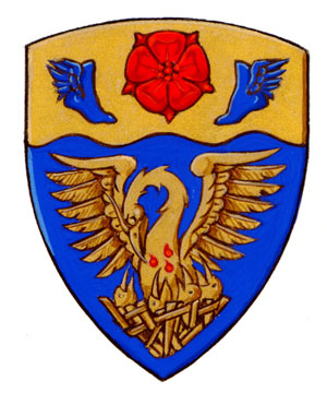 Differenced Arms for Elie Desgreniers, son of Josée Bouchard