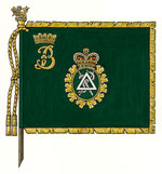 Drapeau du Corps dentaire royal canadien